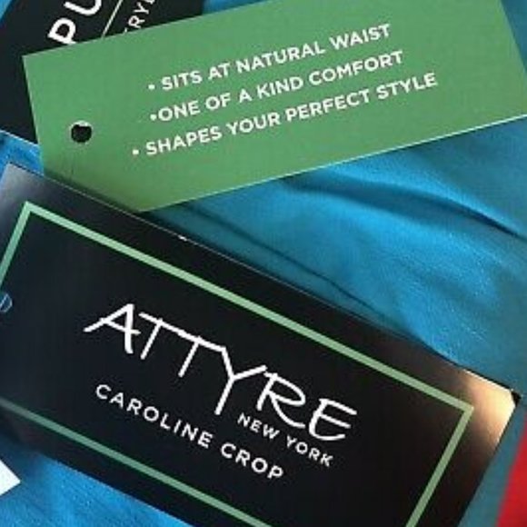 Attyre New York Plaid Stretch Pants - Picture 4 of 8